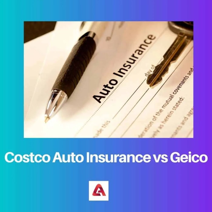 Costco Auto Insurance Vs Geico - Life Insurance Quotes
